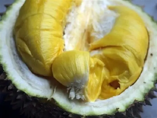 tách thịt sầu riêng làm bánh sầu riêng chiên