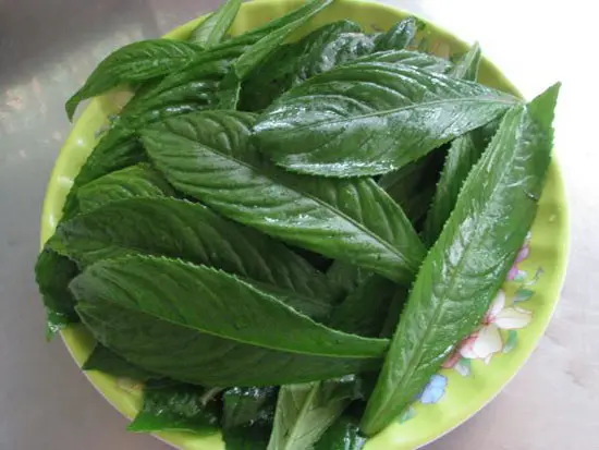 cach-lam-cha-xuong-xong-3
