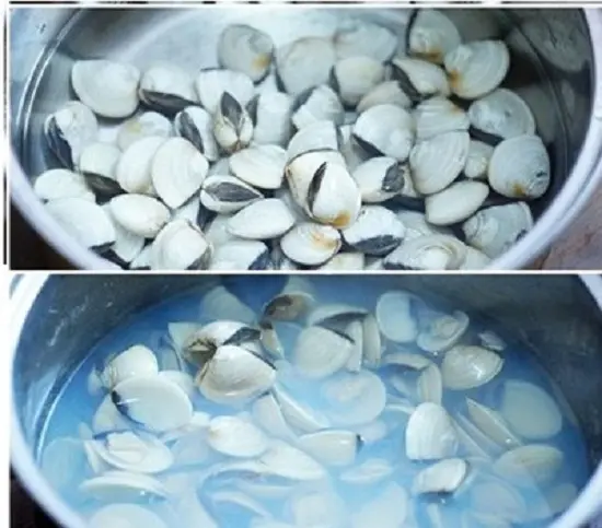 Luộc hến để làm canh ngọn bí nấu hến