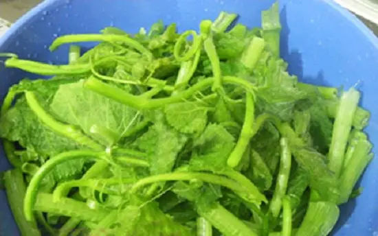 Làm sạch ngọn bí để làm món canh ngọn bí nấu hên