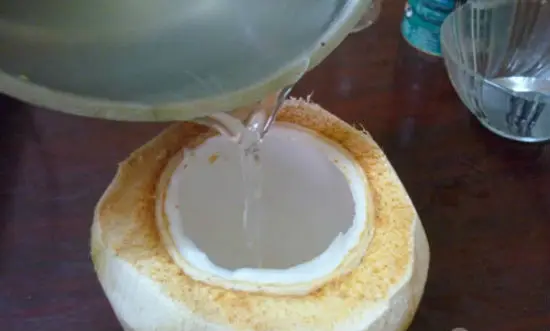 Đổ hỗn hợp thạch dừa xiêm vào quả dừa trước