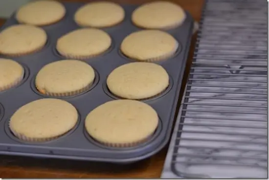 cupcake-chanh-dau-tay-8