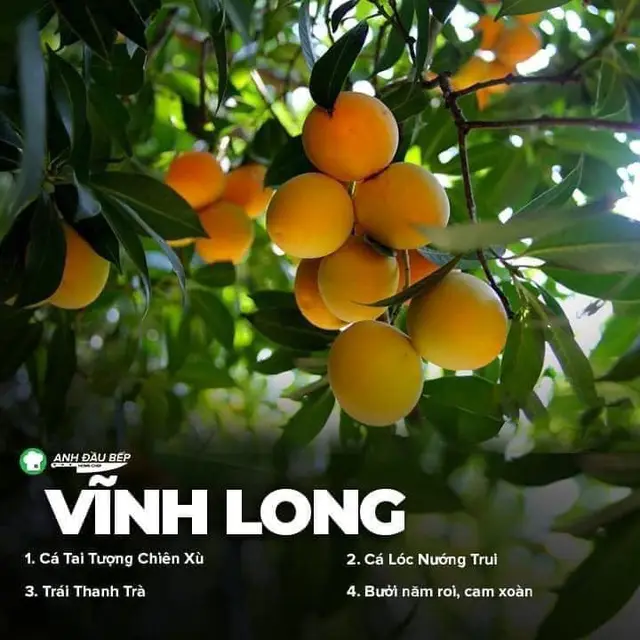 Đặc sản 64 tỉnh thành khắp cả nước