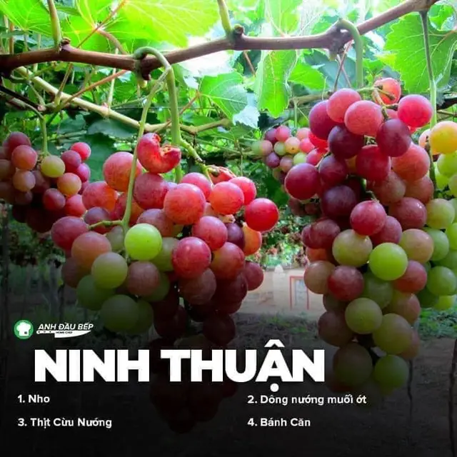 Đặc sản 64 tỉnh thành khắp cả nước