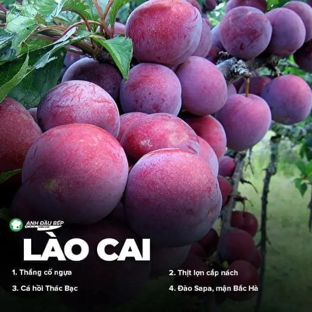 Đặc sản 64 tỉnh thành khắp cả nước