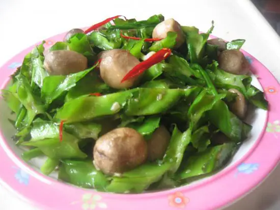 dau-rong-xao-nam