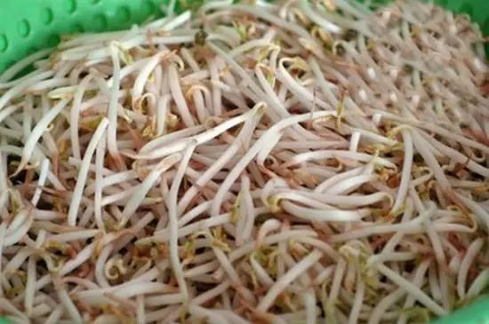 Giảm cân với giá hẹ xào đậu hũ 5