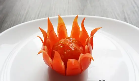 hoa-tu-ca-chua10