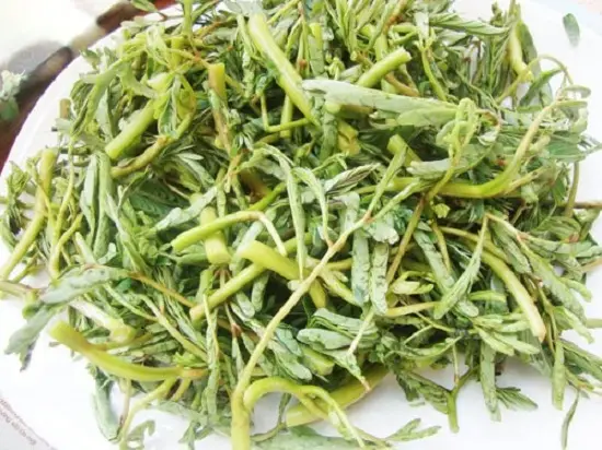 Rửa sạch rau rút để nấu món vịt om sấu