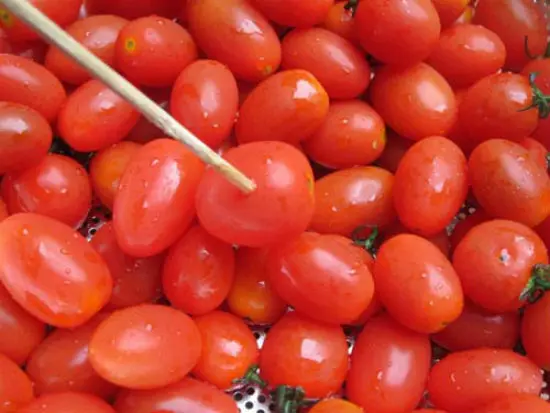 Sơ chế cà chua bi để làm mứt cà chua bi