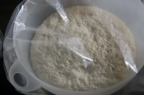 cach-lam-banh-bao-chay-3