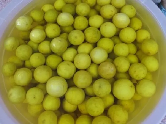 cách làm chanh muối 2