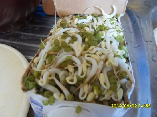 tu-tay-lam-gia-do-tai-nha-bang-hop-sua-11