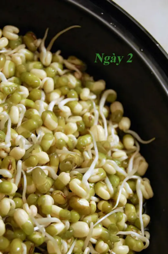 tu-tay-lam-gia-do-tai-nha-bang-hop-sua-07