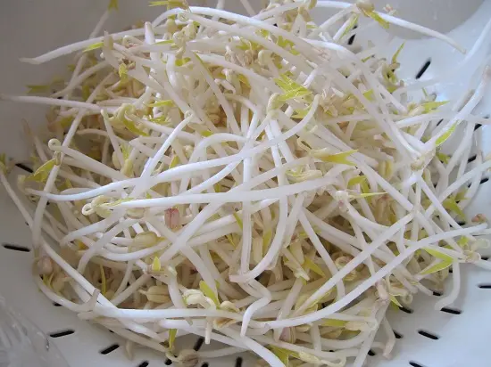 cách làm gỏi cuốn chay rửa giá đỗ