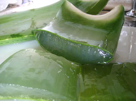 salad-nha-dam-2