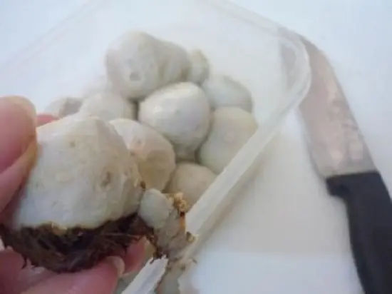 gọt khoai sọ - cách nấu vịt om sấu