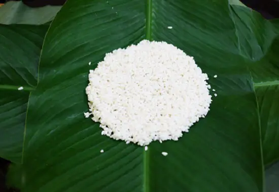 Cho gạo nếp vào giữa lá dong để gói bánh chưng