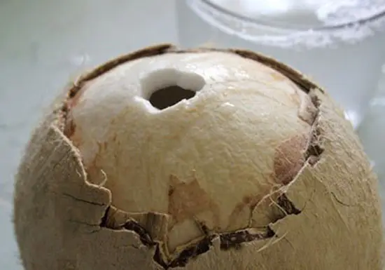 banh-flan-dua-3