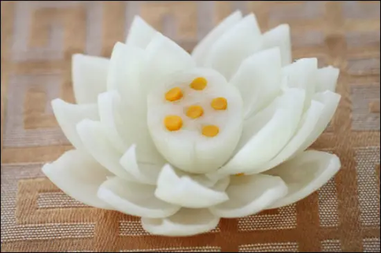 huong-dan-cach-tia-hoa-sen-tu-hanh-tay-5