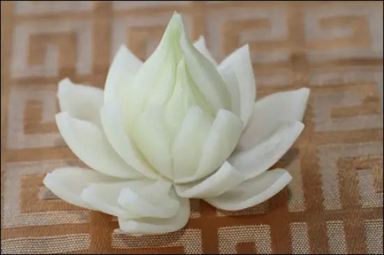 huong-dan-cach-tia-hoa-sen-tu-hanh-tay-4
