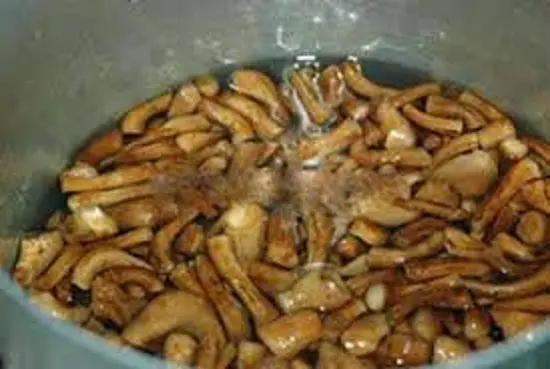 cach-lam-ruoc-chan-nam-huong-1 - Copy