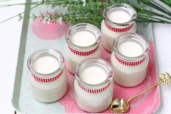 Hướng dẫn làm sữa chua bằng máy