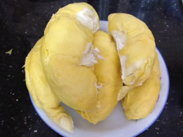 SauRiengDia