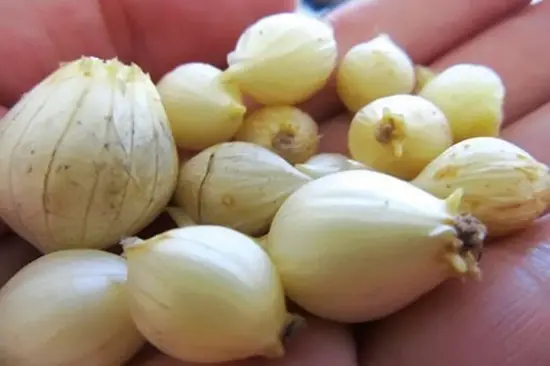 KHÉO TAY LÀM MỲ GÀ XỨ QUẢNG