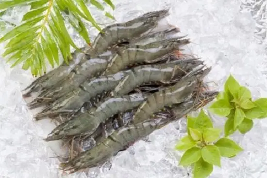 Làm ruốc tôm cho bé ăn dặm