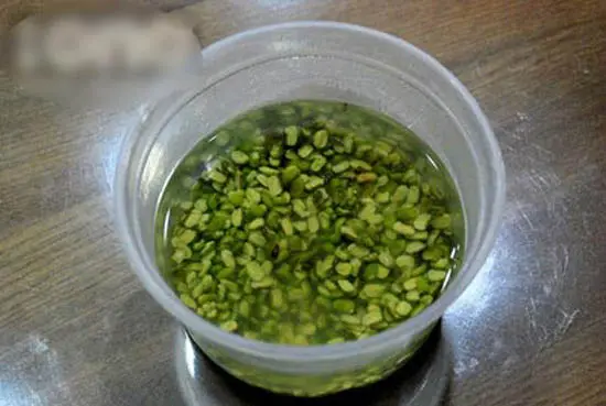 lam-sua-dau-xanh-bang-may-2