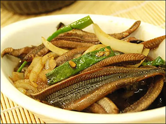 LƯƠN VÀ NHỮNG CÔNG DỤNG CHỮA BỆNH KÌ DIỆU