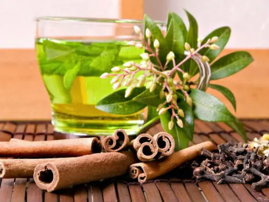 Sử dụng nước trà xanh trị nám