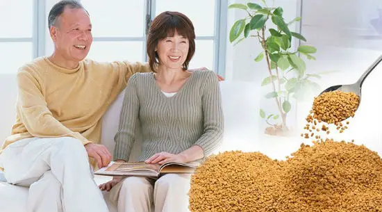 Mách bạn những công dụng tuyệt vời của hạt methi