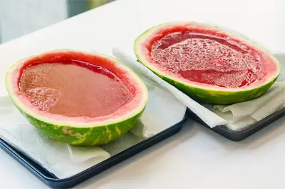 MÁT LẠNH THẠCH DƯA HẤU NGÀY HÈ
