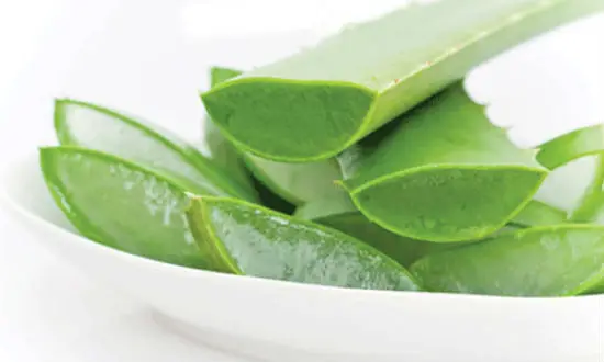 Mẹo chế biến nha đam giòn ngon mà không bị đắng 1