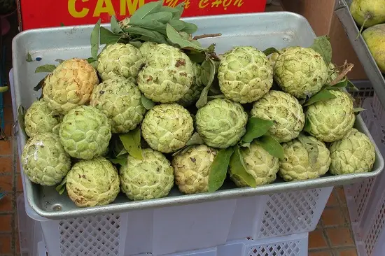 mẹo chọn hoa quả na