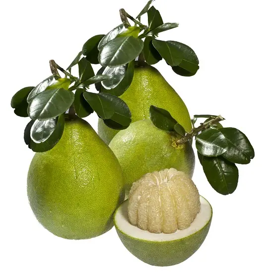 mẹo chọn hoa quả bưởi