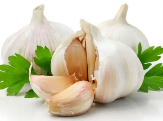 Dùng tỏi để đuổi muỗi