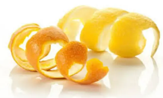 meo-khu-mui-thuc-an-chay-5