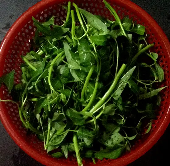 nom-rau-muong-2