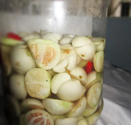 cach-muoi-ca-phao-2