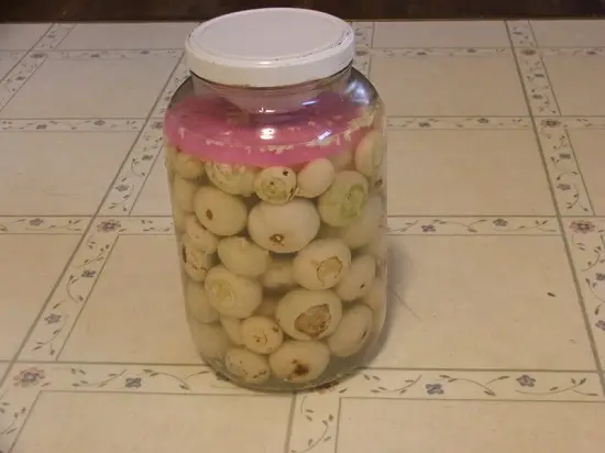 muoi-ca-phao-ngon-2