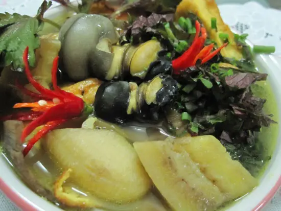 Mẹo nấu ốc chuối đậu thơm ngon không bị tanh