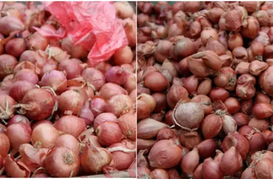 meo-phan-biet-rau-cu-qua-trung-quoc-3