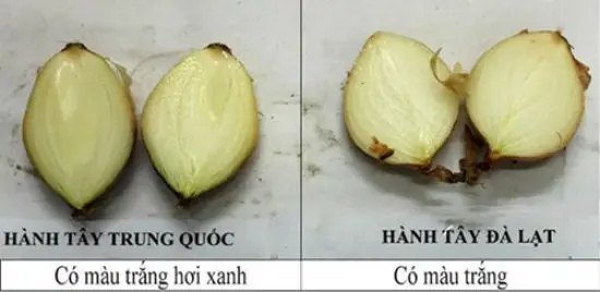 meo-phan-biet-rau-cu-qua-trung-quoc-6