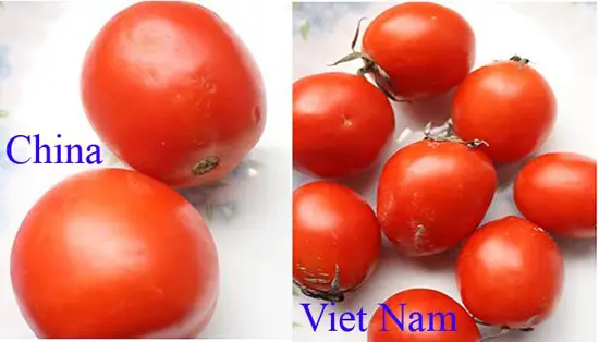 cach-chon-rau-cu-an-toan-khong-phai-hang-trung-quoc-1