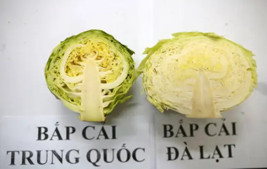 meo-phan-biet-rau-cu-qua-trung-quoc-7