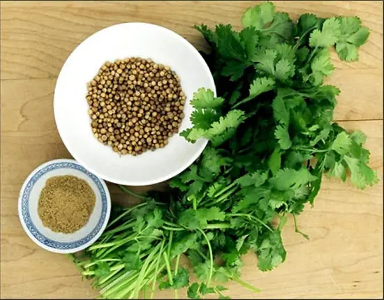 cách chữa nhiệt miệng hiệu quả hạt rau mùi