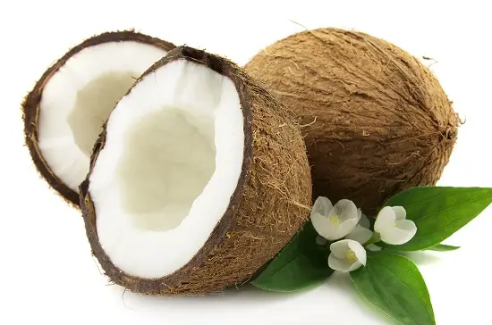 cách chữa nhiệt miệng hiệu quả dừa